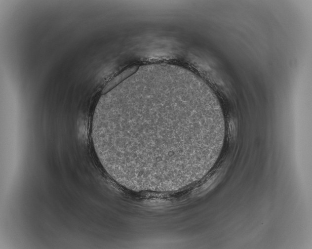 X0000111651300200908281041