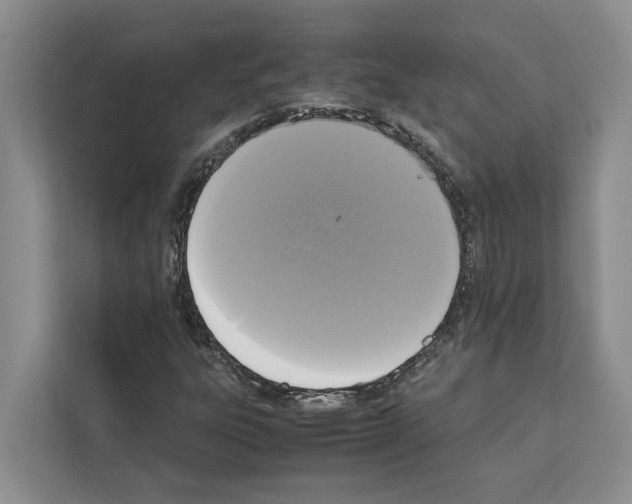 X0000111651303200908281041