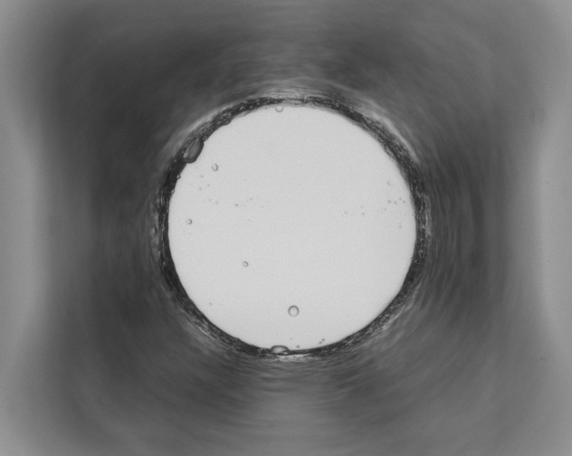 X0000111651304200908281041