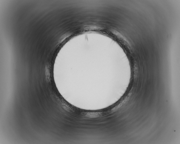 X0000111651305200908281041