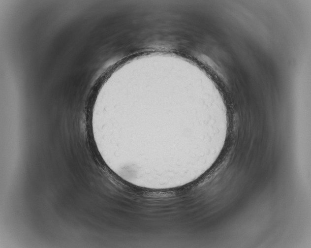 X0000111651307200908281041