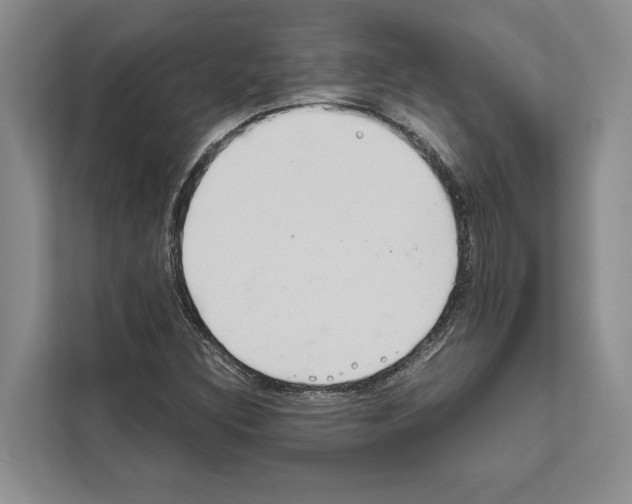 X0000111651308200908281041