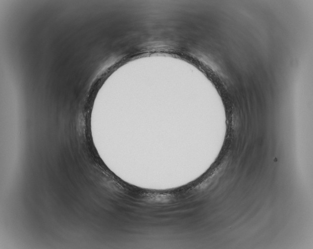 X0000111651309200908281041