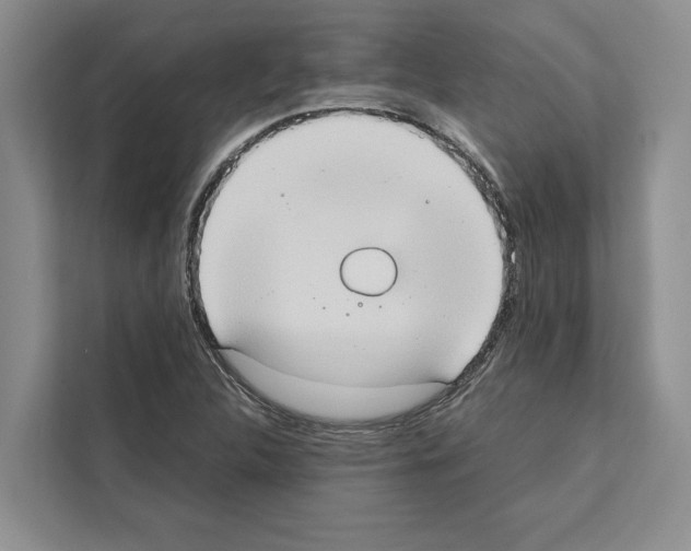 X0000111651312200908281041