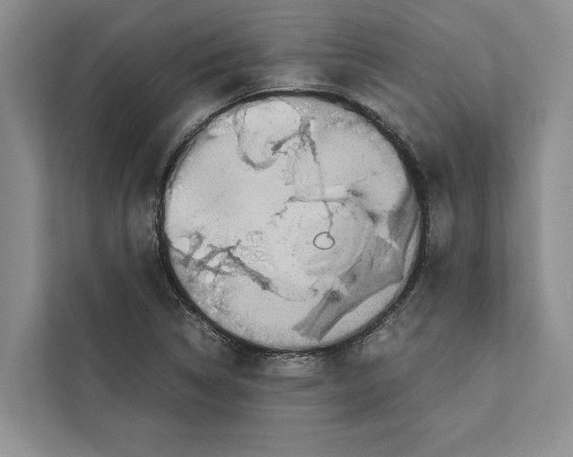 X0000111651314200908281041