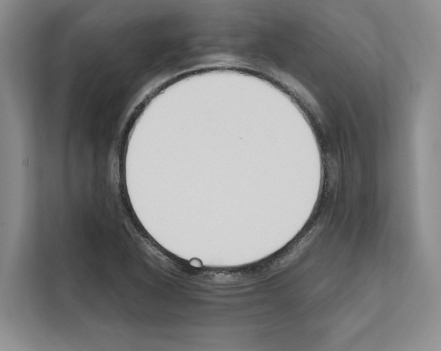 X0000111651318200908281041