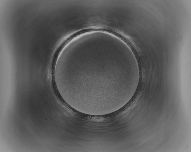 X0000111651319200908281041