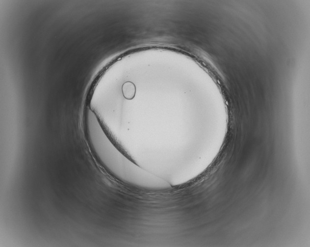 X0000111651320200908281041