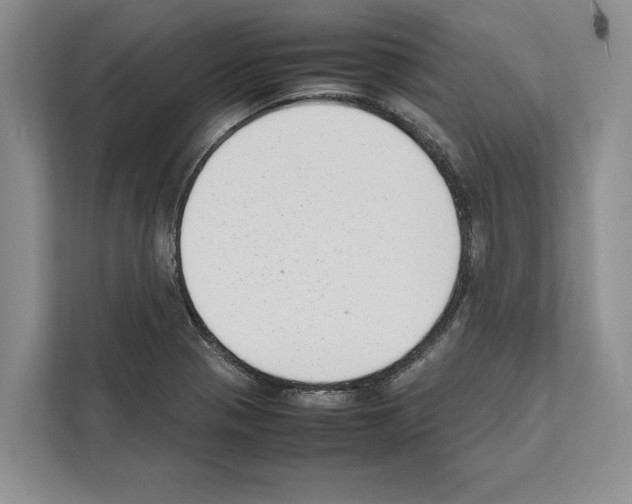 X0000111651321200908281041
