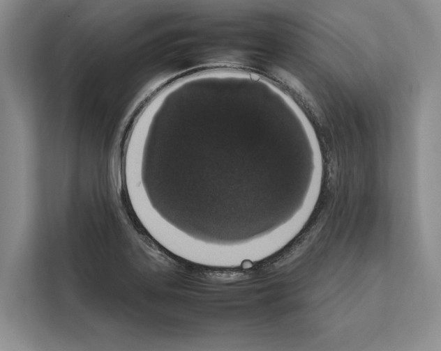 X0000111651323200908281041