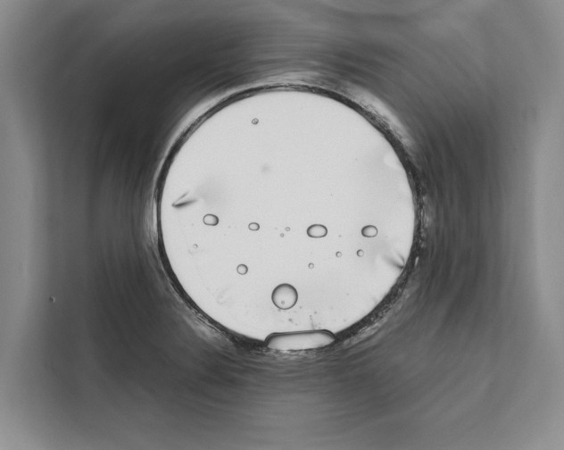 X0000111651324200908281041