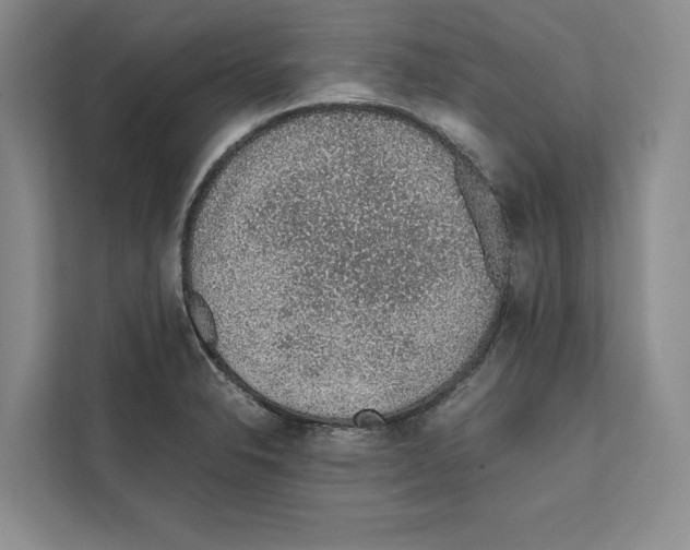 X0000111651326200908281041