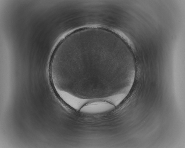 X0000111651327200908281041