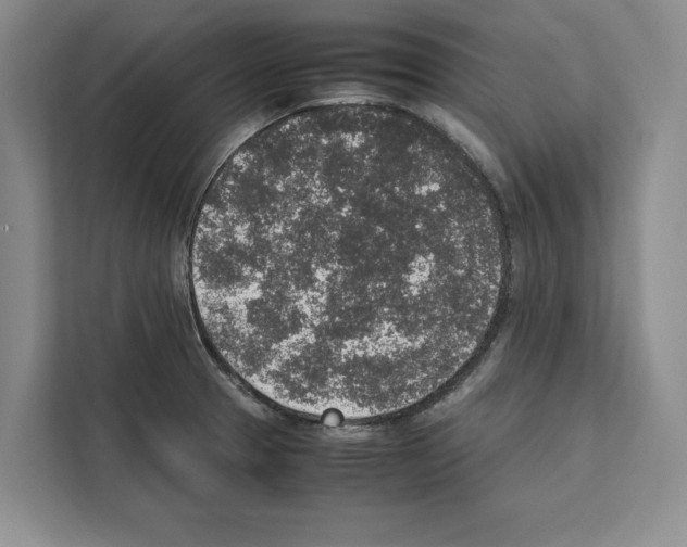 X0000111651329200908281041