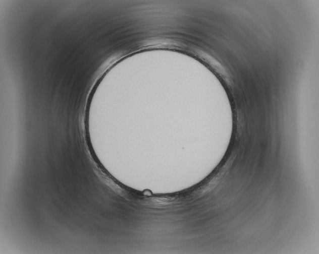 X0000111651330200908281041