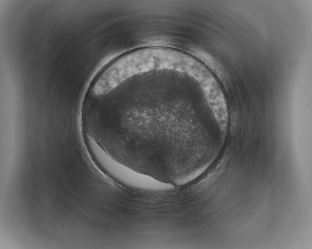 X0000111651331200908281041