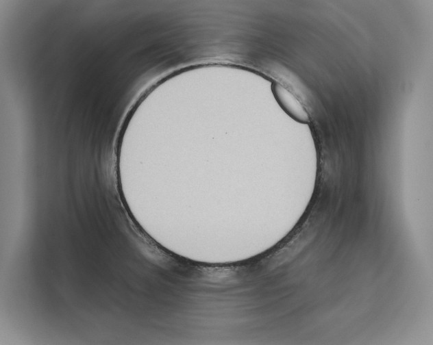 X0000111651332200908281041
