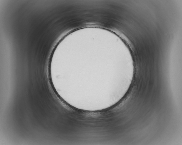 X0000111651333200908281041