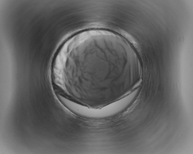 X0000111651334200908281041