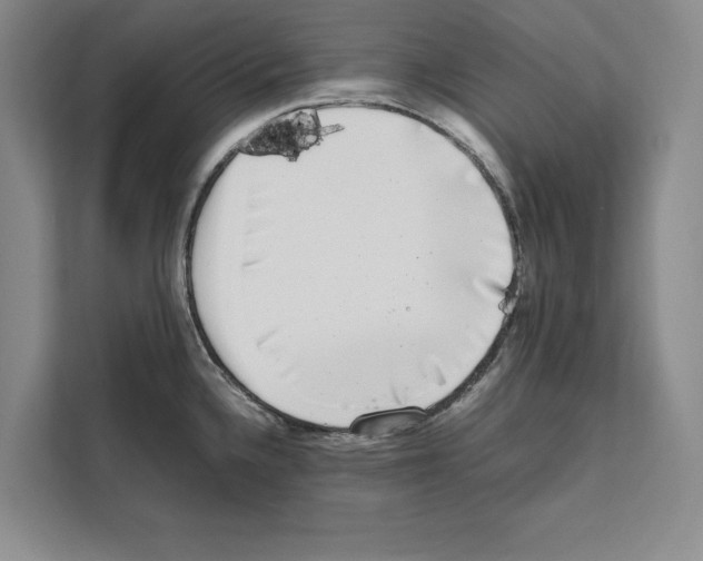 X0000111651336200908281041