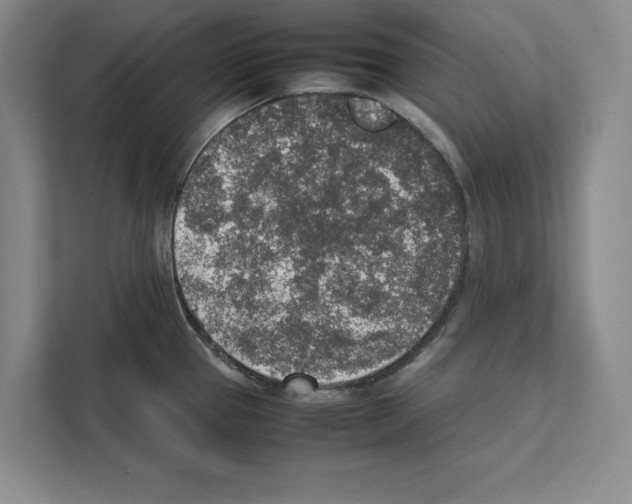 X0000111651337200908281041
