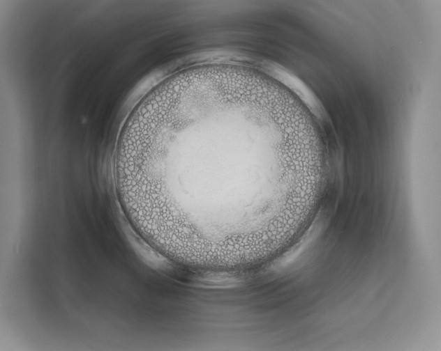 X0000111651338200908281041