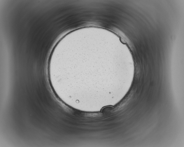 X0000111651339200908281041