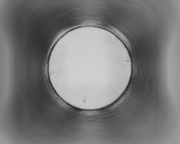 X0000111651340200908281041