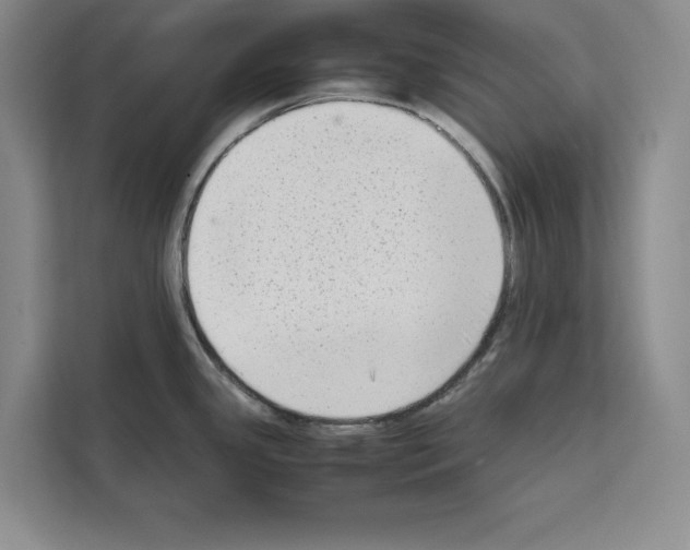 X0000111651341200908281041