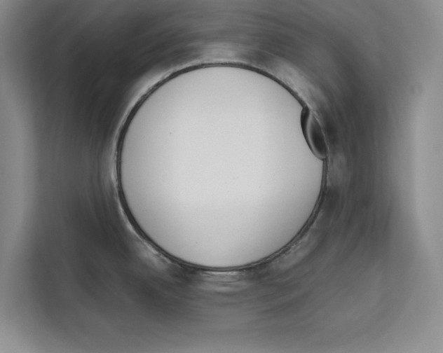 X0000111651342200908281041