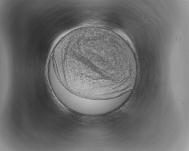 X0000111651344200908281042