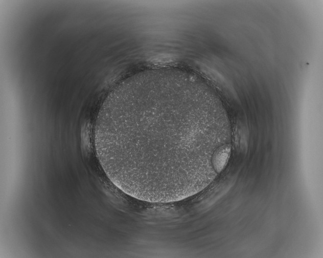 X0000111651346200908281041