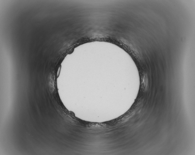 X0000111651348200908281041