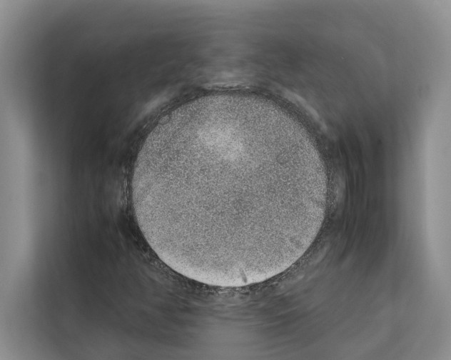 X0000111651350200908281041