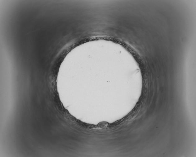 X0000111651351200908281041