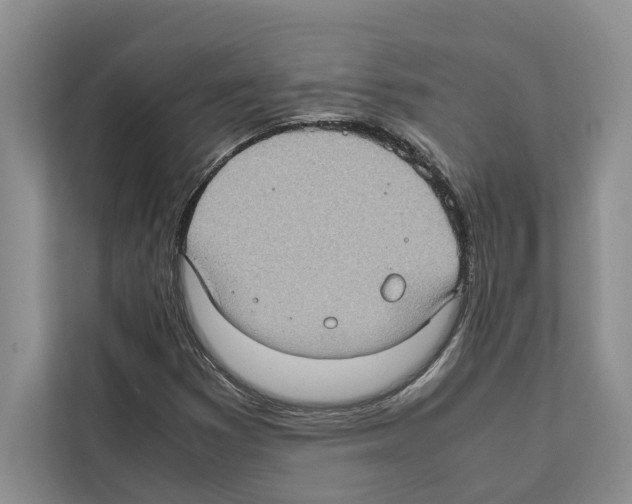 X0000111651353200908281041