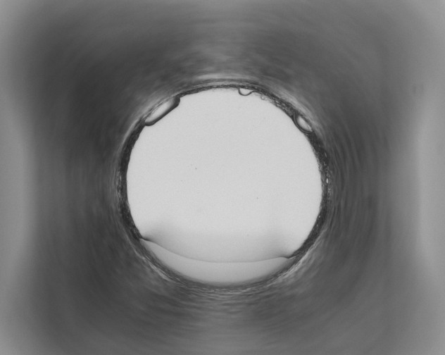 X0000111651357200908281041