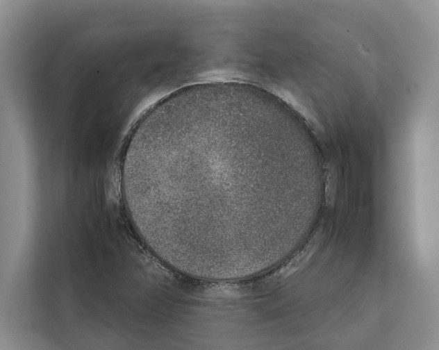 X0000111651358200908281041