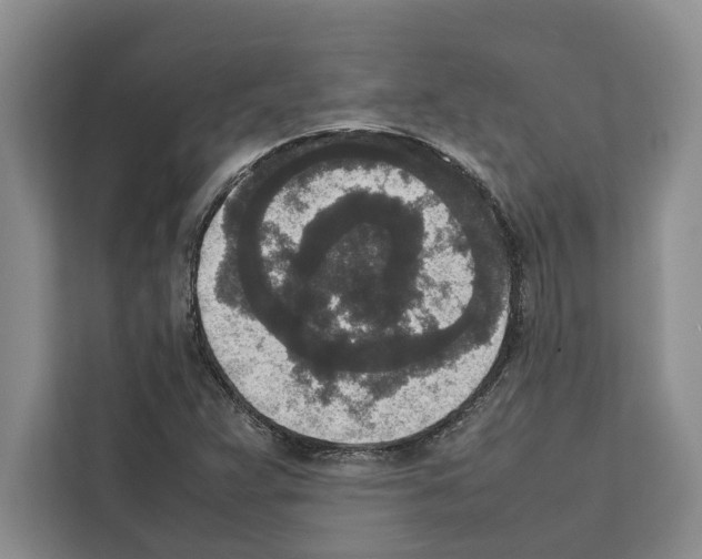 X0000111651359200908281041