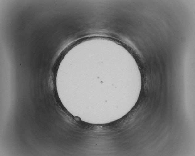 X0000111651360200908281041