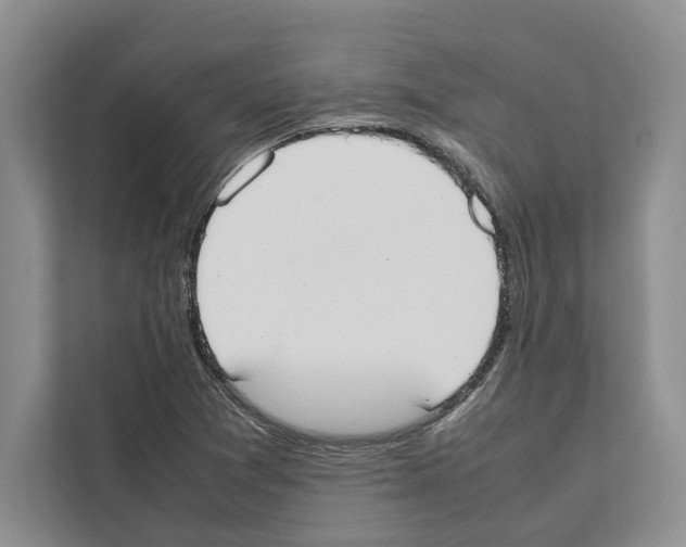 X0000111651361200908281041