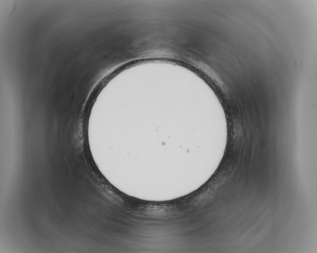 X0000111651364200908281041