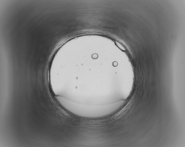 X0000111651365200908281041