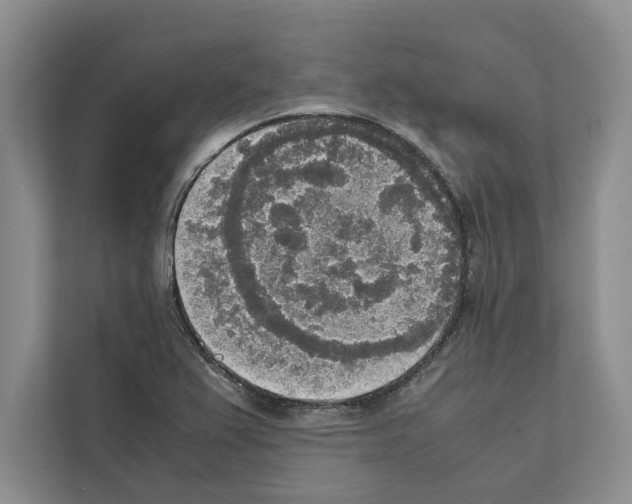X0000111651367200908281041