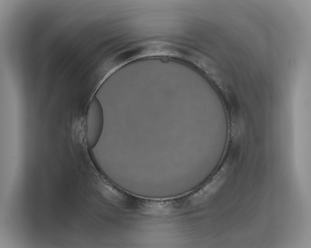 X0000111651369200908281041