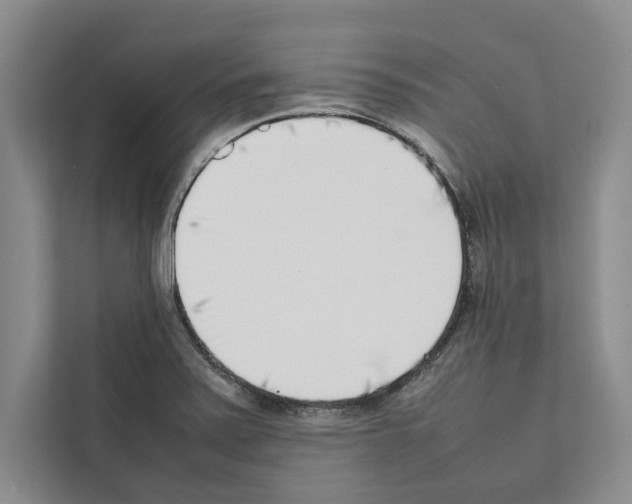 X0000111651371200908281041