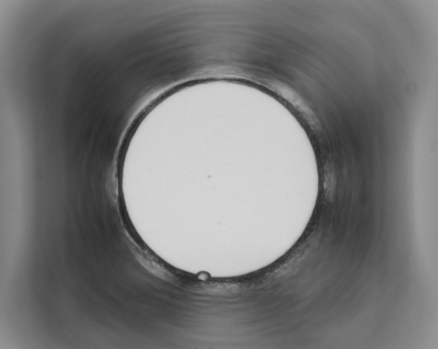 X0000111651372200908281041