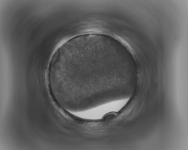 X0000111651373200908281041