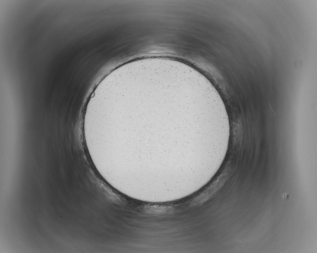 X0000111651374200908281041