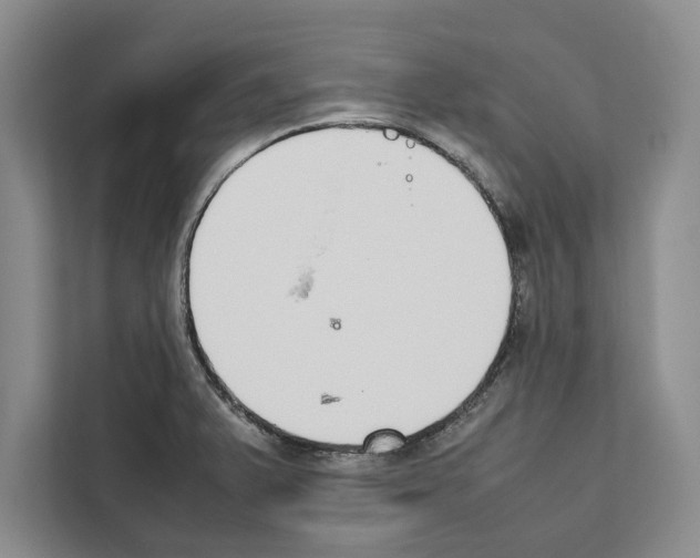 X0000111651375200908281040